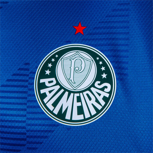 Camisa do Palmeiras 2022/23 Goleiro - Image 4